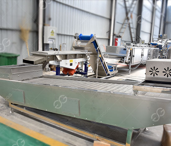 Cashew Roasting and Seasoning Line GELGOOG.jpg